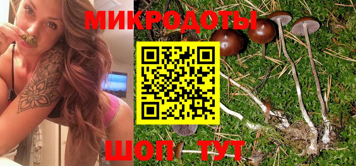 Гудермес  Псилоцибиновые грибы мухоморы  Галлюциногенные грибы GOLDEN TEACHER  Вход с VPN 