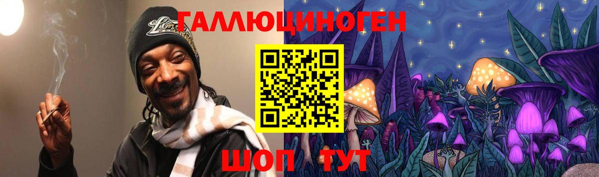 Галлюциногенные грибы Psilocybe Гудермес